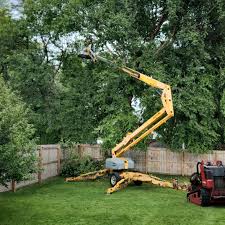 Best Artificial Turf Installation  in Hermosa Beach, CA