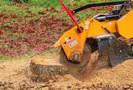 Best Lawn Grading and Leveling  in Hermosa Beach, CA